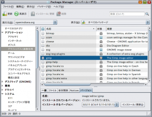 Package Manager-1